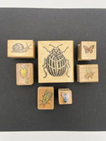 Assorted Bugs Stamp Set - 7